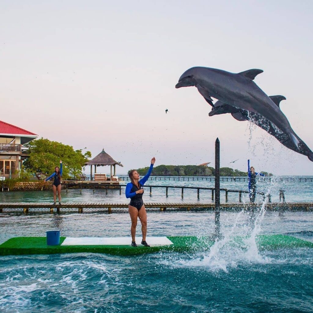 Tour a Islas de Rosario y Baru desde Barranquilla