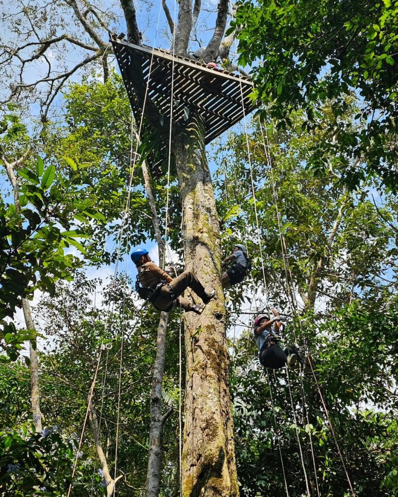 vive la Aventura de Canopy extremo en el Amazonas