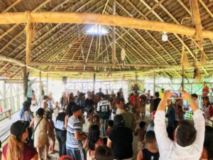 Amazonas en 1 día: Puerto Nariño, Puerto Alegria y Delfines