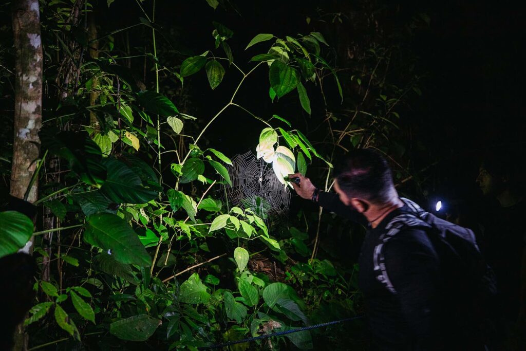 Canopy Extremo + Sendero Nocturno – Aventura Amazónica Total