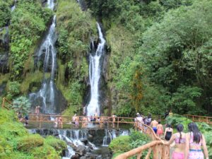 Experiencia de Café y termales de Santa Rosa