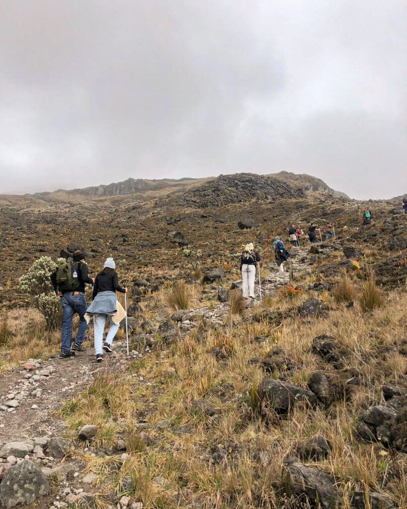 Excursion de Alta Montaña al Sendero Conejeras desde Pereira