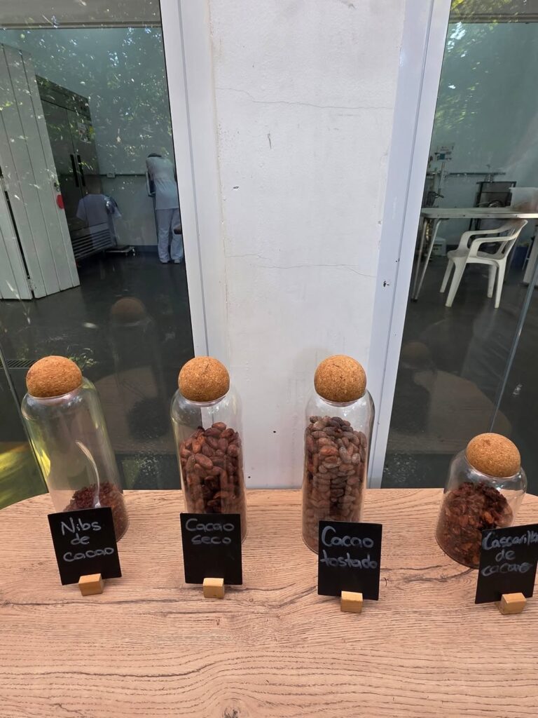 Experiencia en Fabrica de Chocolote con desgustacion
