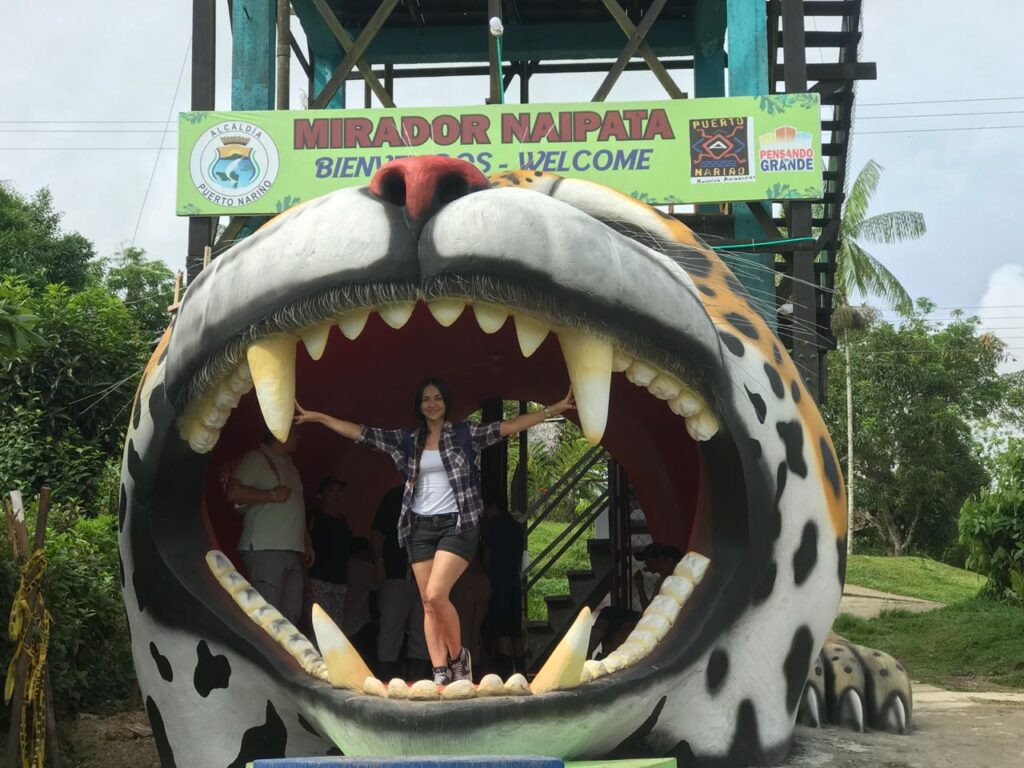 Amazonas en 1 día: Puerto Nariño, Puerto Alegria y Delfines
