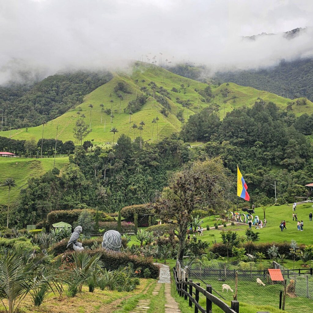 Tour Dia Completo a Salento y Valle del Cocora desde Pereira