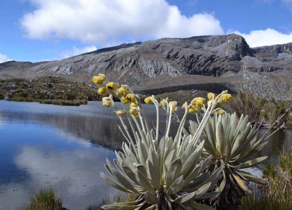 Tour dia Completo al Volcán Puracé