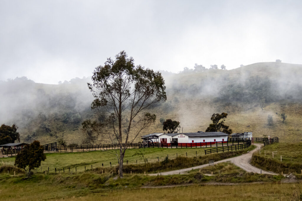 Excursion de Alta Montaña al Sendero Conejeras desde manizales