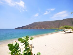 Tour a Playa Bahia Concha Parque Tayrona en Lancha