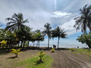 Tour de un dia a Playa Piangüita con Almuerzo desde Buenaventura