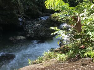 Tour Aguas Claras con Charcos Profundos y Rio Cristalino desde Buenaventura