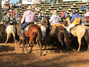 Vive la Auténtica Cultura Llanera en Villavicencio