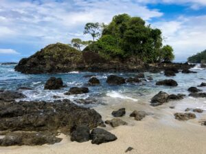 Tour Avistamiento de Ballenas con Tremales y Playa