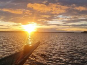 Tour avistamiento de Ballenas y Visita a Isla Plata