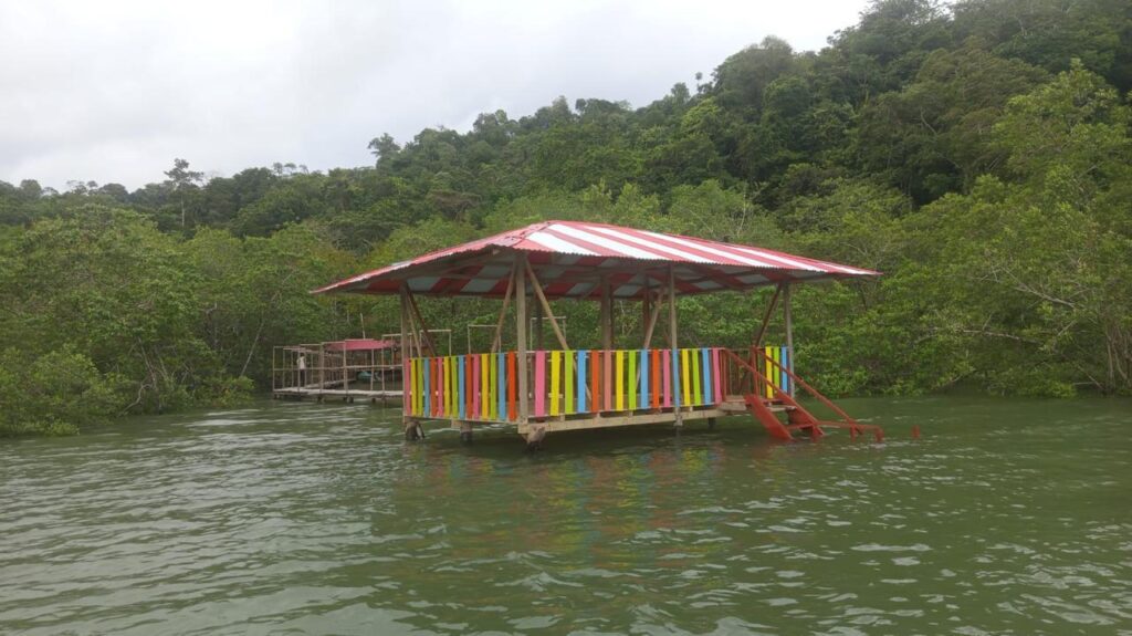 Tour avistamiento de Ballenas y Visita a Isla Plata