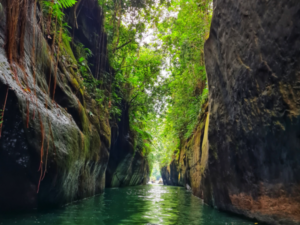 Cañón del Cafre: Aventura y Tubing en el Meta