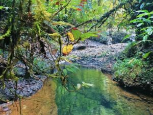 Tour Privado a Cascadas Telares y Tres Marías con Almuerzo desde Cali