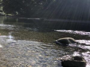 Tour Aguas Claras con Charcos Profundos y Rio Cristalino desde Buenaventura