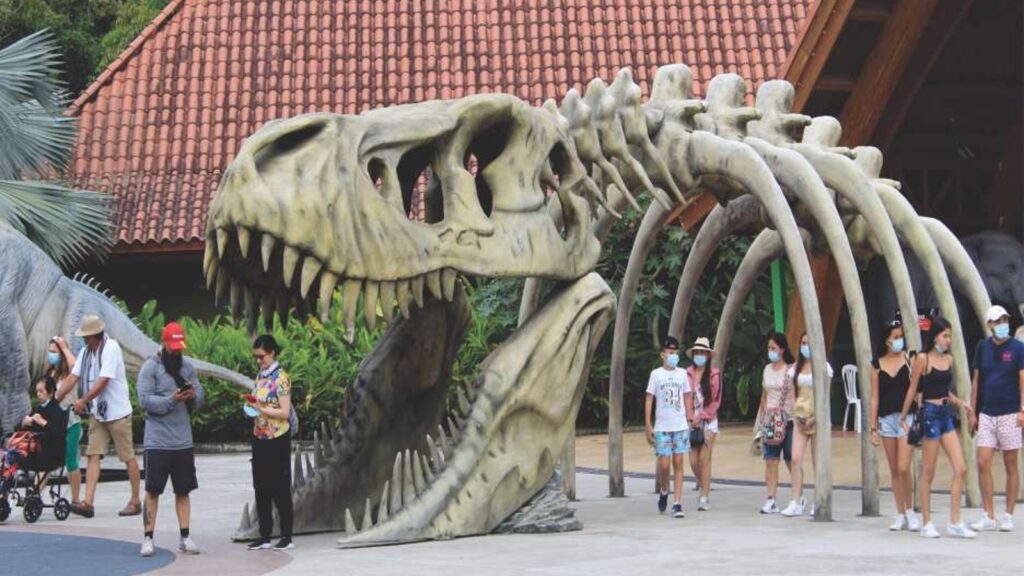 Pasaporte Full de Entrada al Bioparque Ukumari
