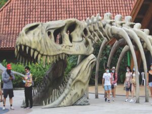 Pasaporte Full de Entrada al Bioparque Ukumari
