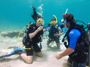Minicurso de Buceo en Baru con Almuerzo, fotos y videos