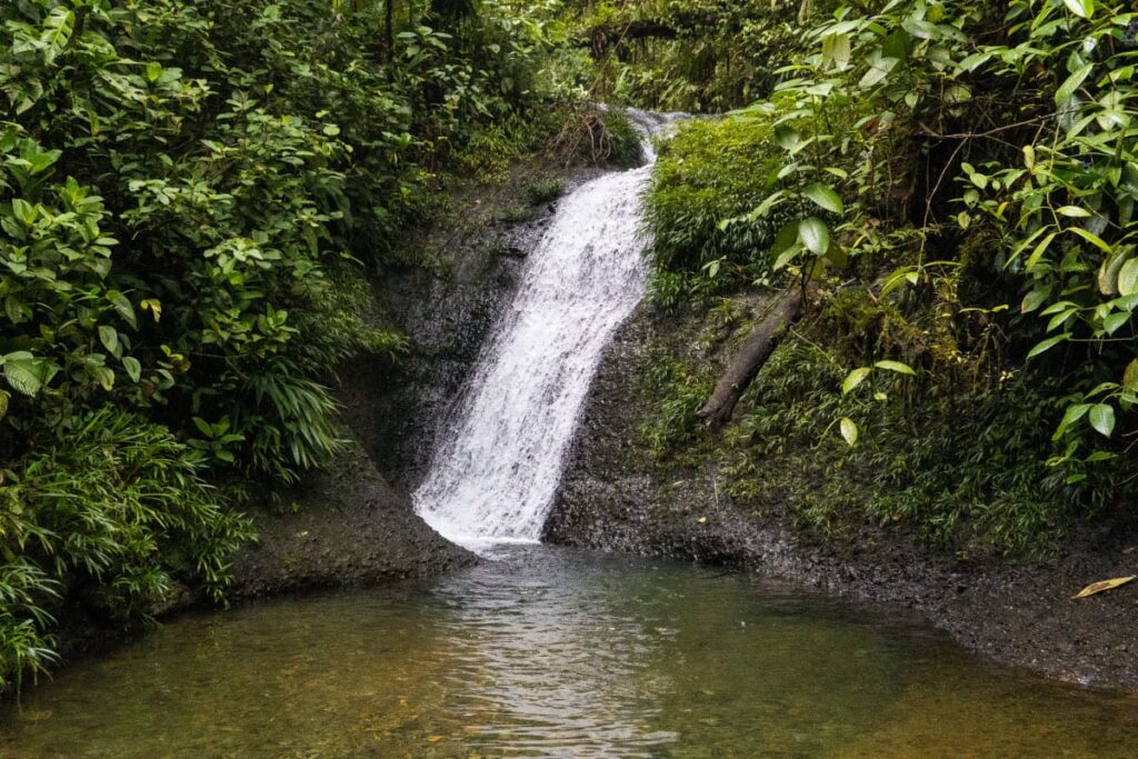 Tour Privado a San Cipriano Charco Cristalino, Cascadas y Tubing desde Cali