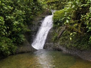 Tour Privado a San Cipriano Charco Cristalino, Cascadas y Tubing desde Cali