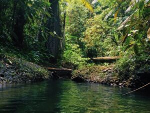 Tour Privado a Cascadas Telares y Tres Marías con Almuerzo desde Cali