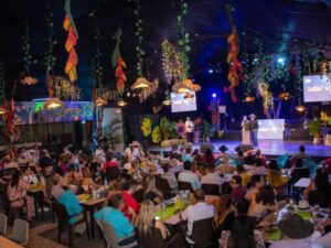 Vive una Noche de Joropo Inolvidable en Villavicencio