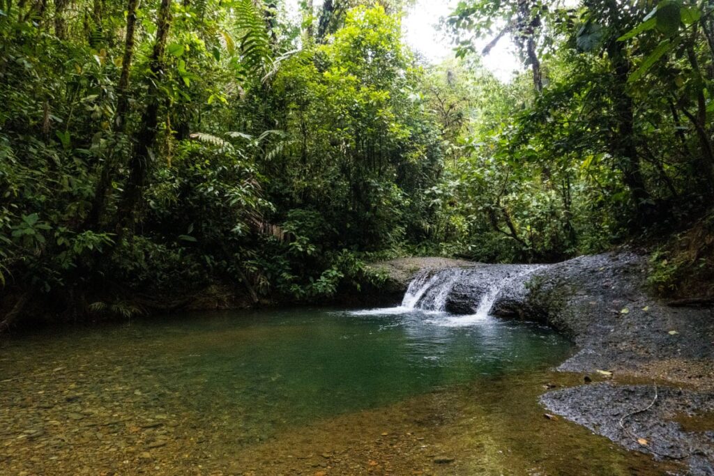 Tour Privado a San Cipriano Charco Cristalino, Cascadas y Tubing desde Cali