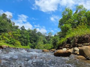 Tour Privado a Cascadas Telares y Tres Marías con Almuerzo desde Buenaventura