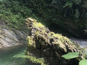 Tour Aguas Claras con Charcos Profundos y Rio Cristalino desde Buenaventura