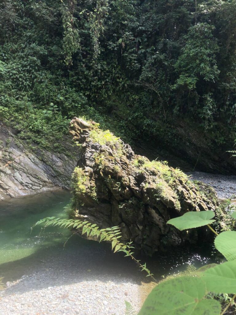 Tour Aguas Claras con Charcos Profundos y Rio Cristalino desde Buenaventura