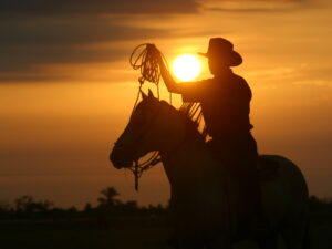 Amanecer Llanero y Ruta del Río Meta en Puerto López