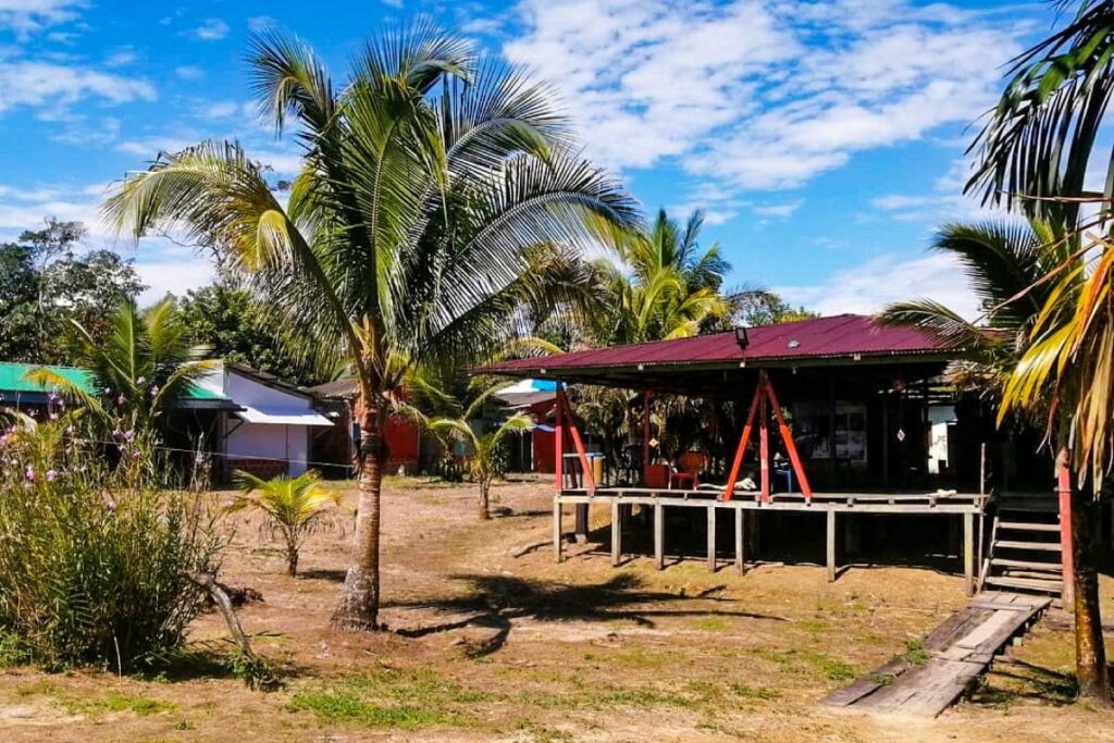 Tour avistamiento de Ballenas con Playa Cucheros, Almuerzo y Cascadas