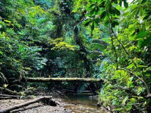 Tour Privado a Cascadas Telares y Tres Marías con Almuerzo desde Cali