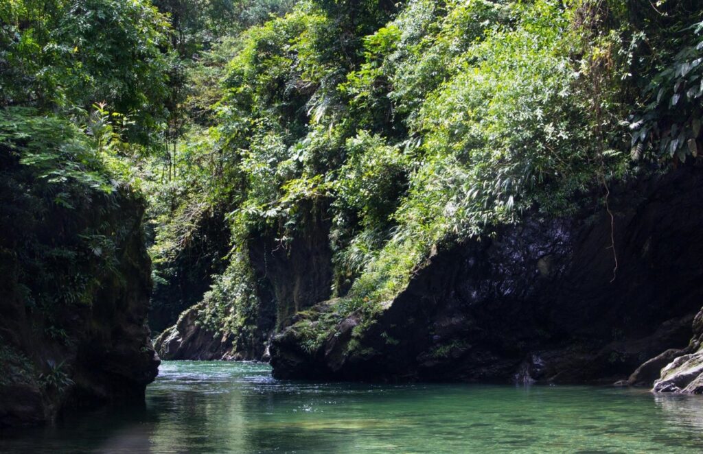 Tour Aguas Claras con Charcos Profundos y Rio Cristalino desde Buenaventura