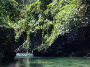 Tour Aguas Claras con Charcos Profundos y Rio Cristalino desde Buenaventura