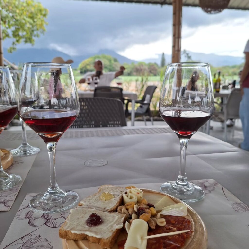 Tour del Vino con gastronomia y Actividades en Santa Elena Valle del Cauca